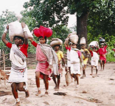 blog-thumbnail-adivasis.PNG